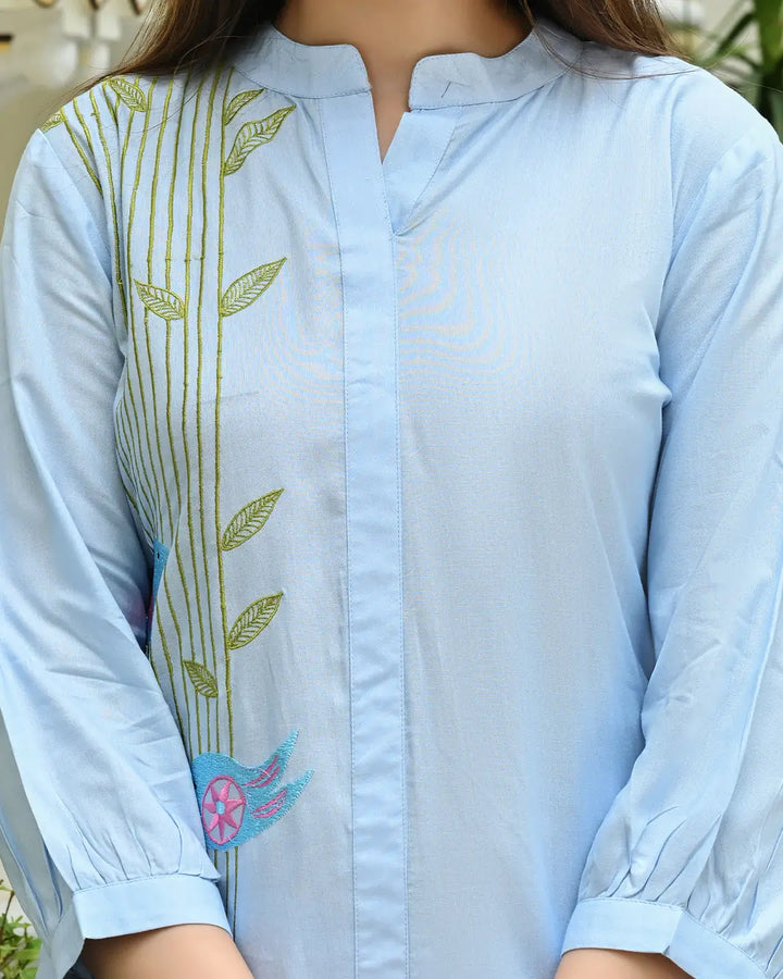 Powder blue Embroidered Co- ords Set