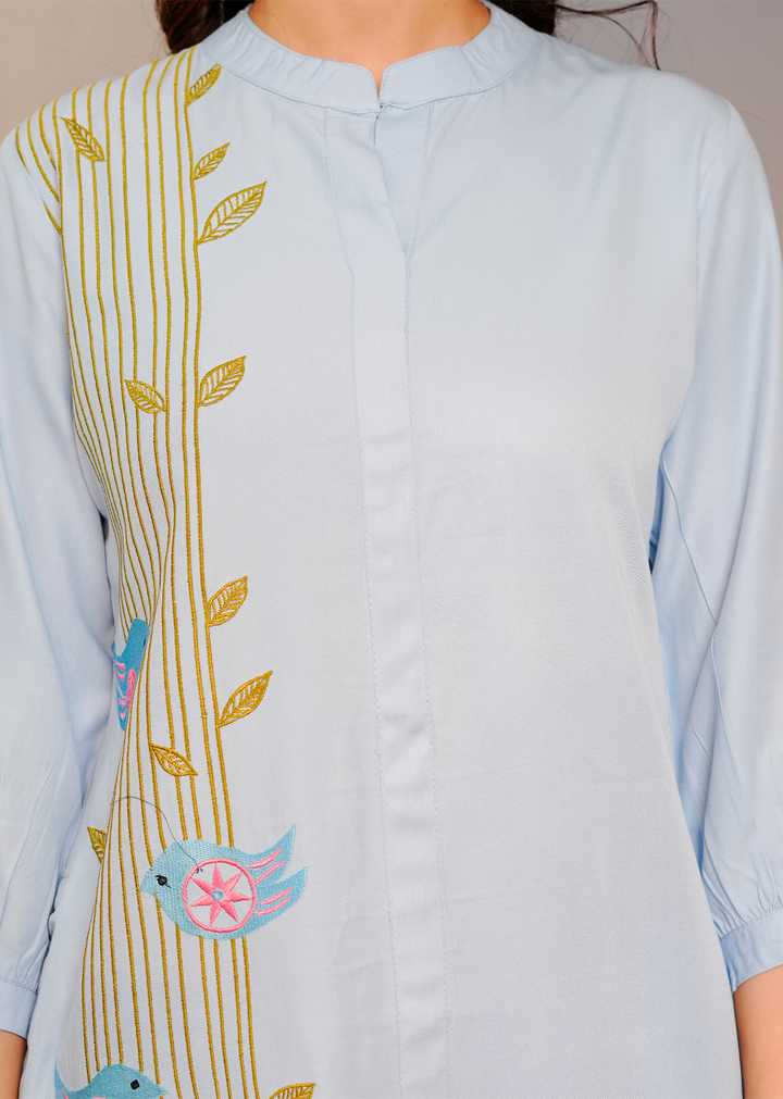 Powder blue Embroidered Co- ords Set