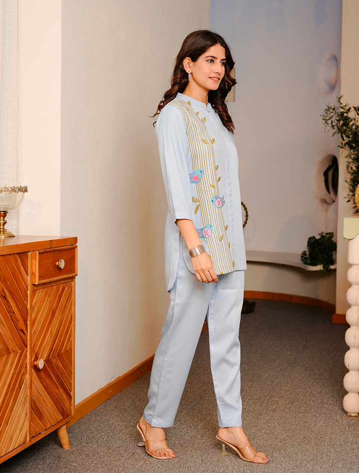 Powder blue Embroidered Co- ords Set